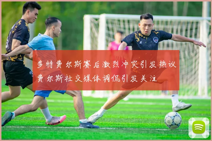 多特费尔斯赛后激烈冲突引发热议费尔斯社交媒体调侃引发关注