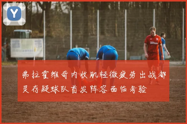 弗拉霍维奇内收肌轻微疲劳出战都灵存疑球队首发阵容面临考验