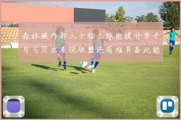 森林狼内部人士称三球能提升华子与戈贝尔表现联盟还有谁具备此能力